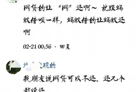 龙凤如何避免债务纠纷？专业追讨公司教您应对之策